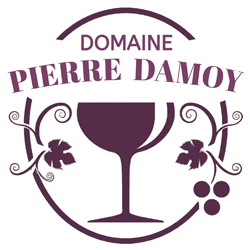 2017 Domaine Pierre Damoy Chambertin Grand Cru Red Wine