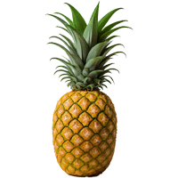 pineapple