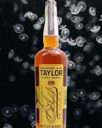 taylor single barrel