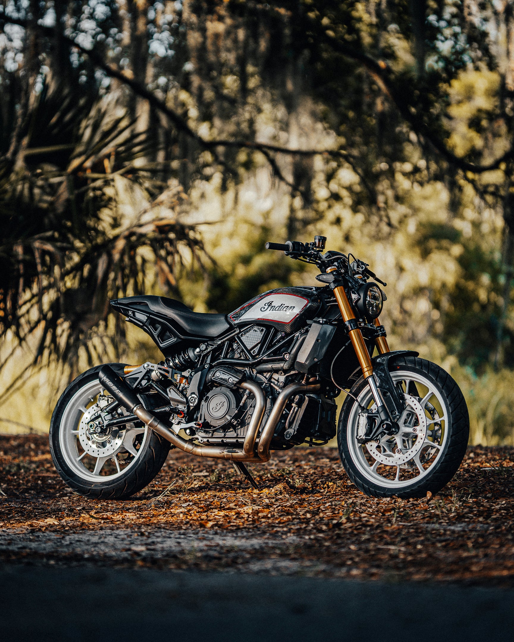 A parked Indian motorcycle in a wooded area.