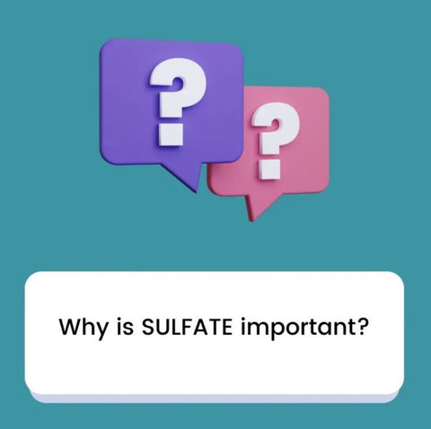 Absorption of Sulfate