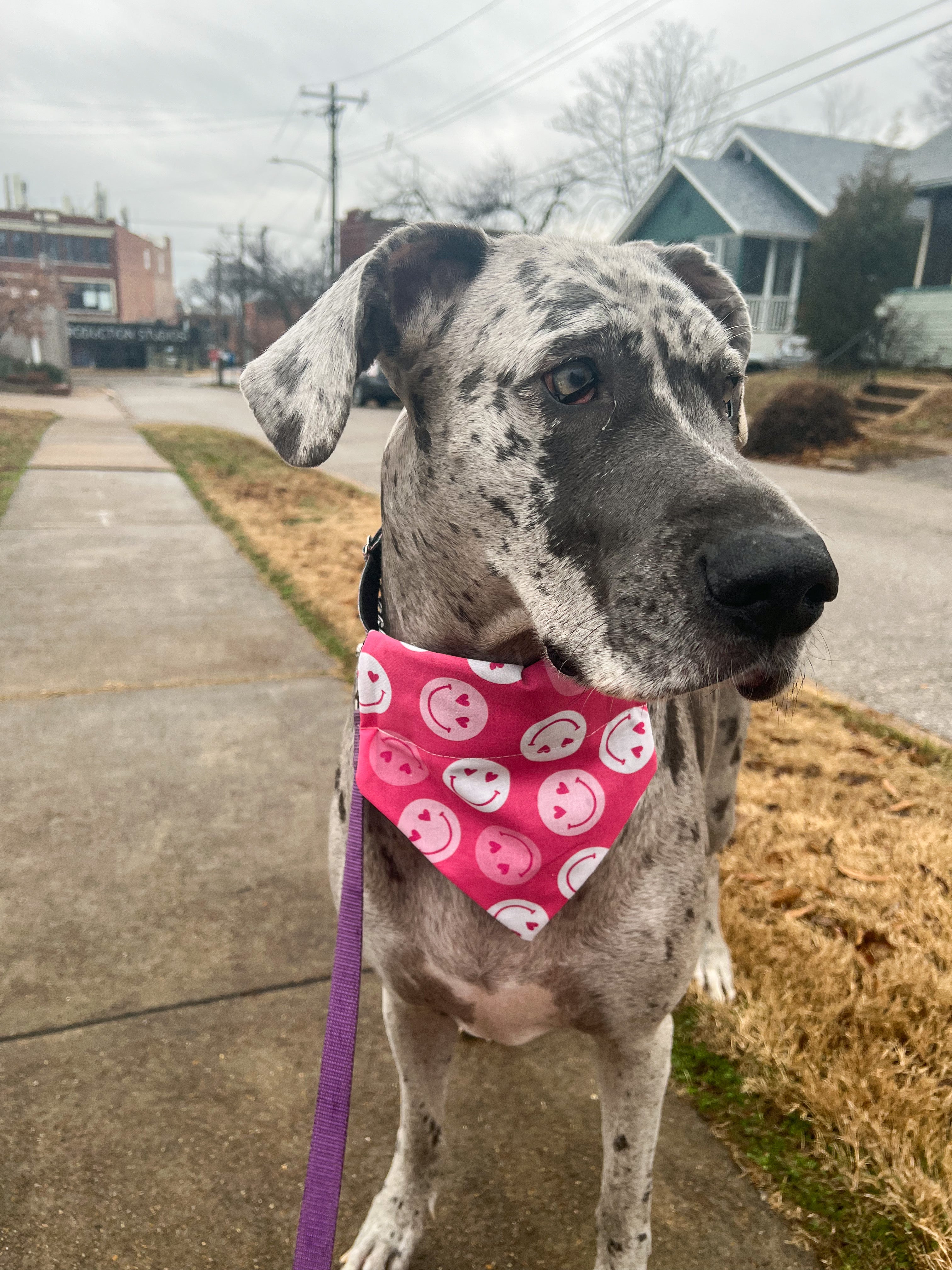 Smiley Hearts Bandana