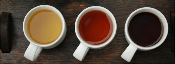 tea tasting