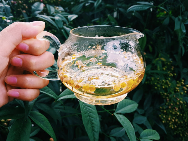 chamomile tea in glass cup