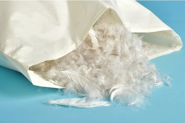 Close-up of feather pillow inserts showing the feathers inside.