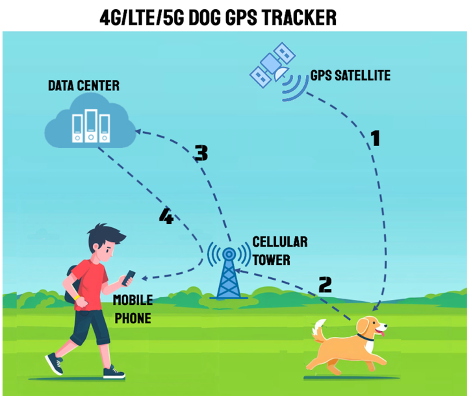 How Tractive Fi Fitbark whistle dog GSP tracker works