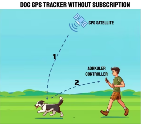 No subscription no monthly fee dog GPS tracker type2