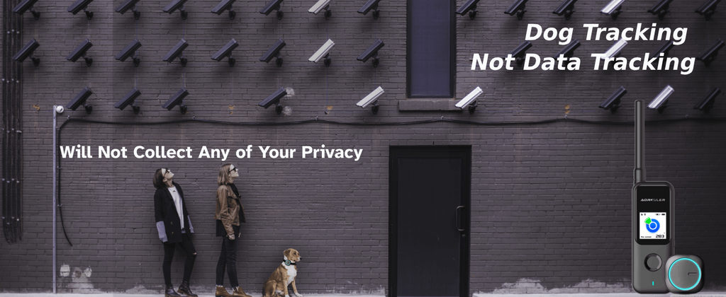 Privacy Protect