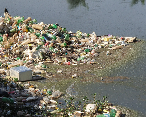 Residuos de plásticos tirados en el agua.