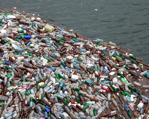 Botellas y más desperdicio plástico al lado del océano.