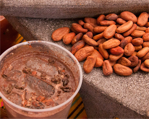 Bebida a base de cacao en un vaso y al lado el cacao