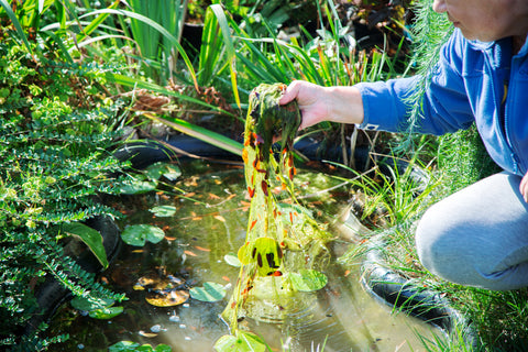 Woman removing algae with her hands for garden maintenance