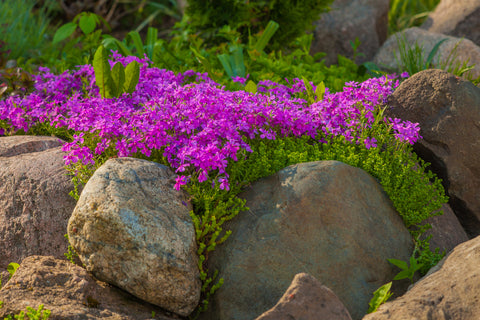 Boulders for Design in Gardens