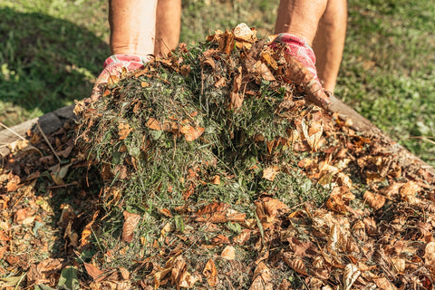 Leaf Mulch in Gardens