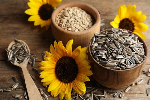 Sunflower Seeds in a Wooden Bowl with Sunflowers Around It