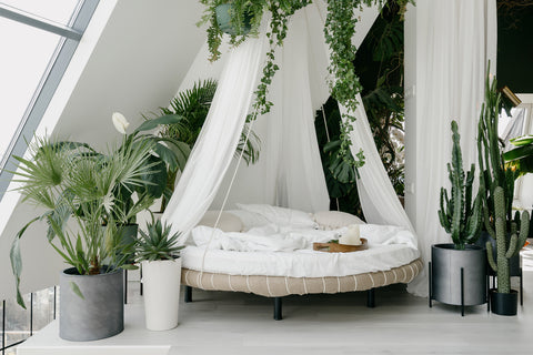 White Bedroom with Green Plants