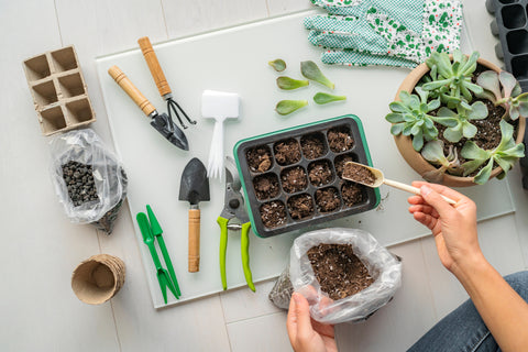 Beginner Gardening with Seedling Trays