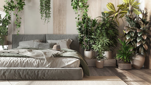 Bedroom Decorated with Indoor Plants