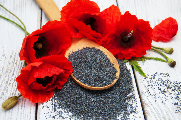 Poppy seeds between red poppy flowers on a wooden spoon