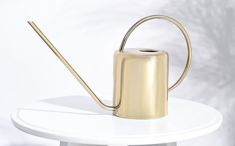 Gilt Watering Can - Gold