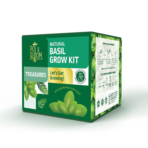 Ugaoo Pot & Bloom Treasures Basil Grow Kit