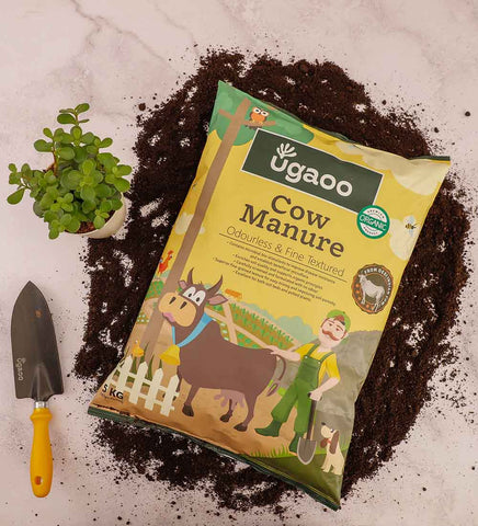 Cow Dung Compost