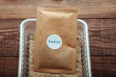 Radish Seed Kit to Simplify Gardening