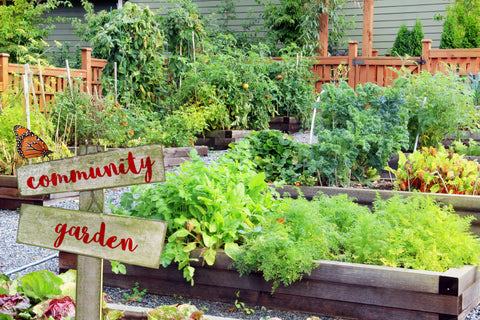 Community Garden