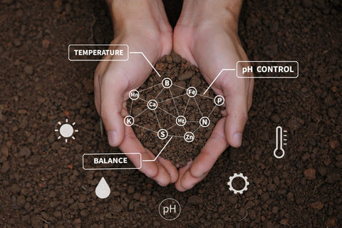 Adjusting  Balancing Soil pH