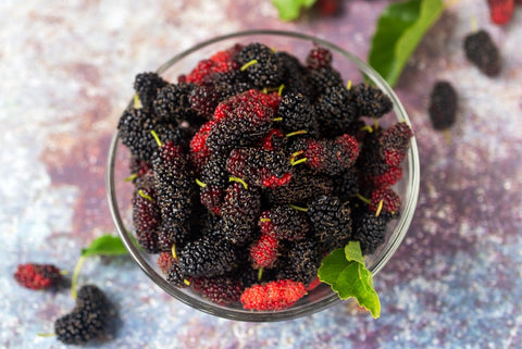 Mulberry Fruits in a Bowl