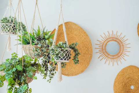 Decorating with Boho Style Plants