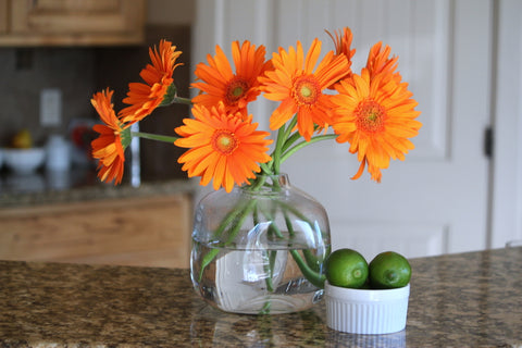Gerbera Daisy Flower Gifts for Mother's Day