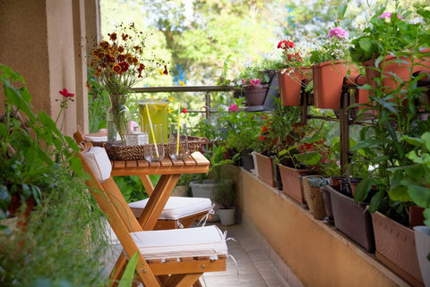 Balcony Garden Care
