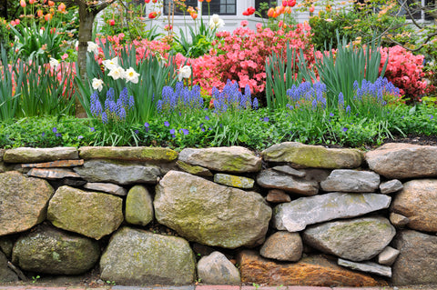Stone Wall in a Garden