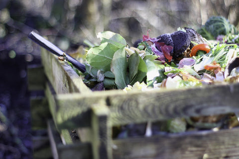 composting to reduce waste