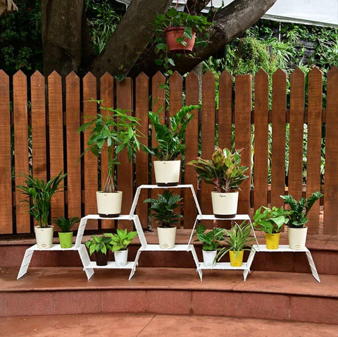 Grandis Plant Stand