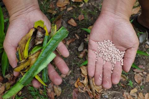 organic and in-organic fertilizer
