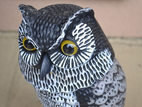 Decoy Owl Predator for Pigeons