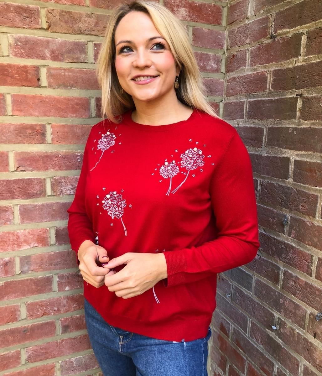 Red Diamante Dandelion Jumper  Size 28