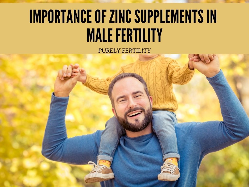Importance Of Zinc Supplements In Male Fertility Purely Fertility 2407