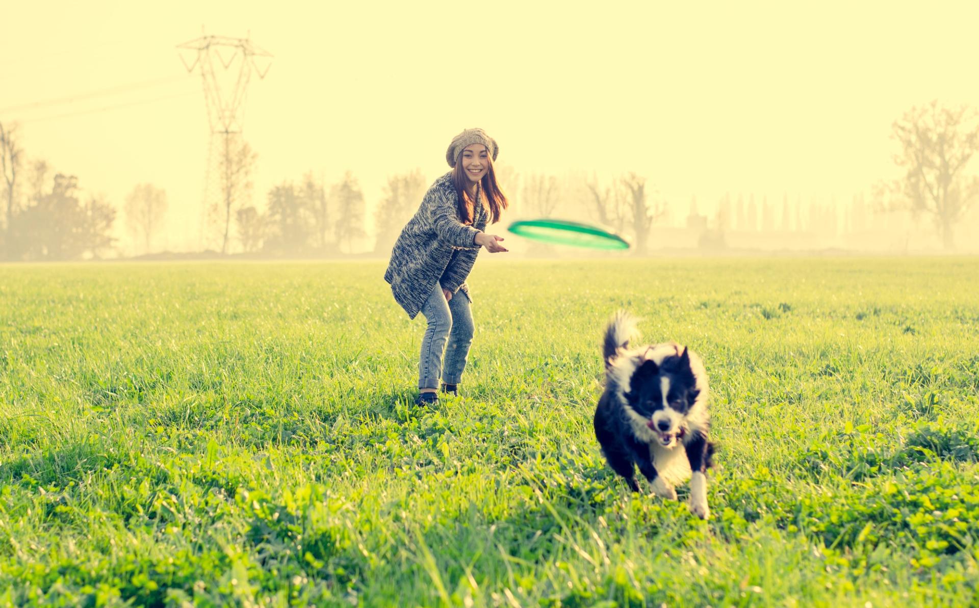 cane che gioca con frisbee