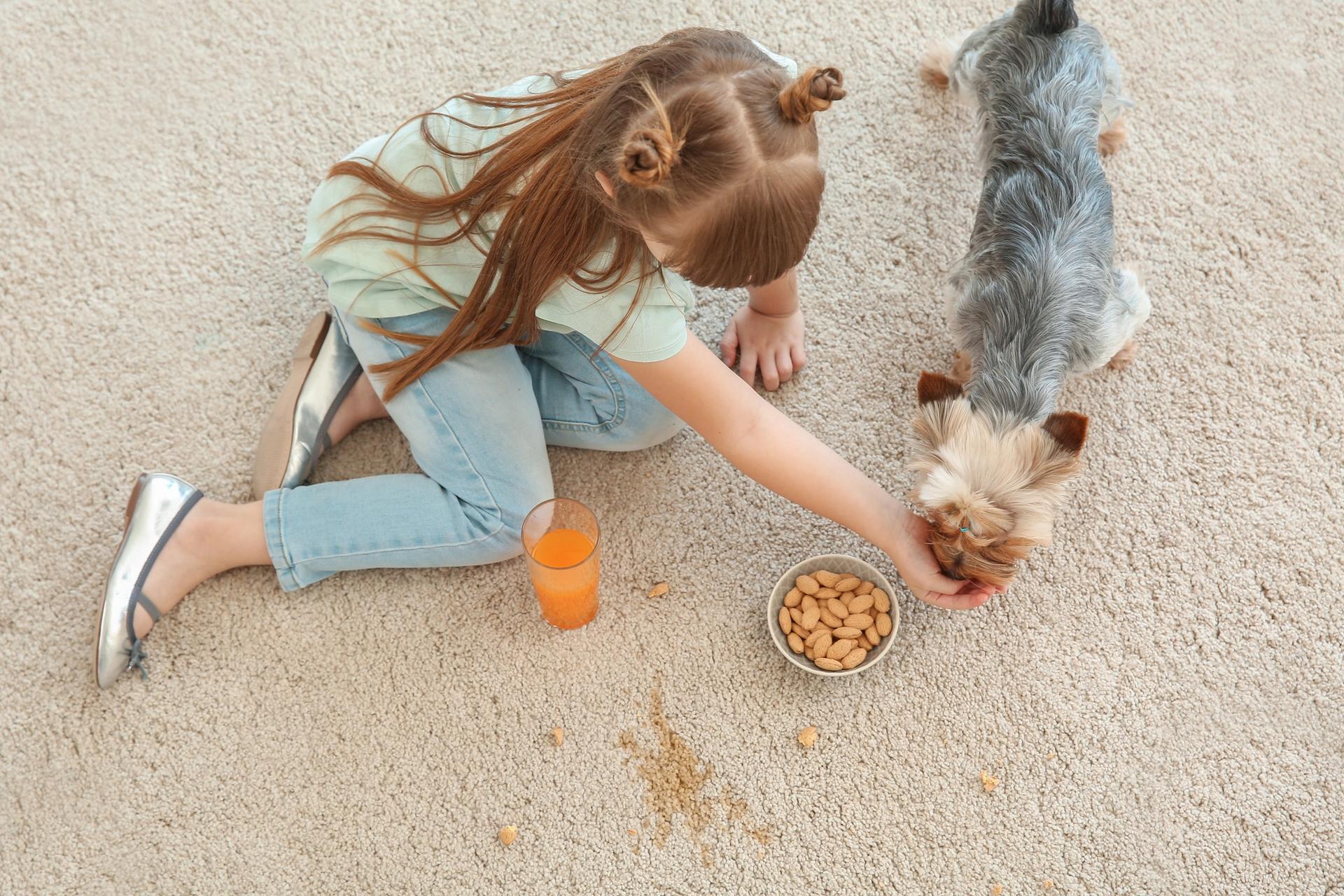 bambina nutre il cane con mandorle mentre beve succo seduta sul tappeto