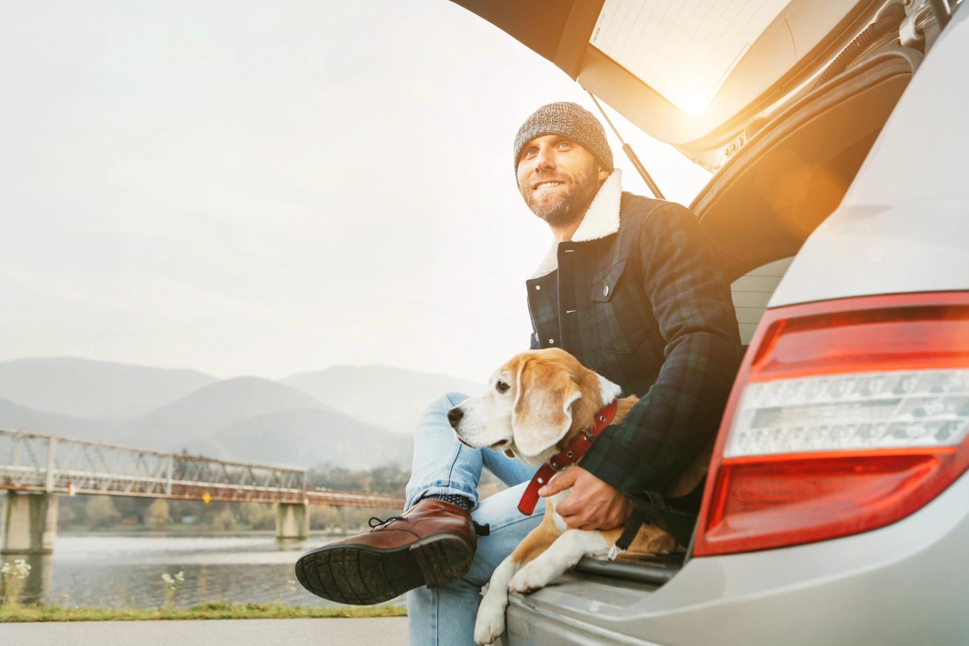 trasportare il cane nel bagagliaio