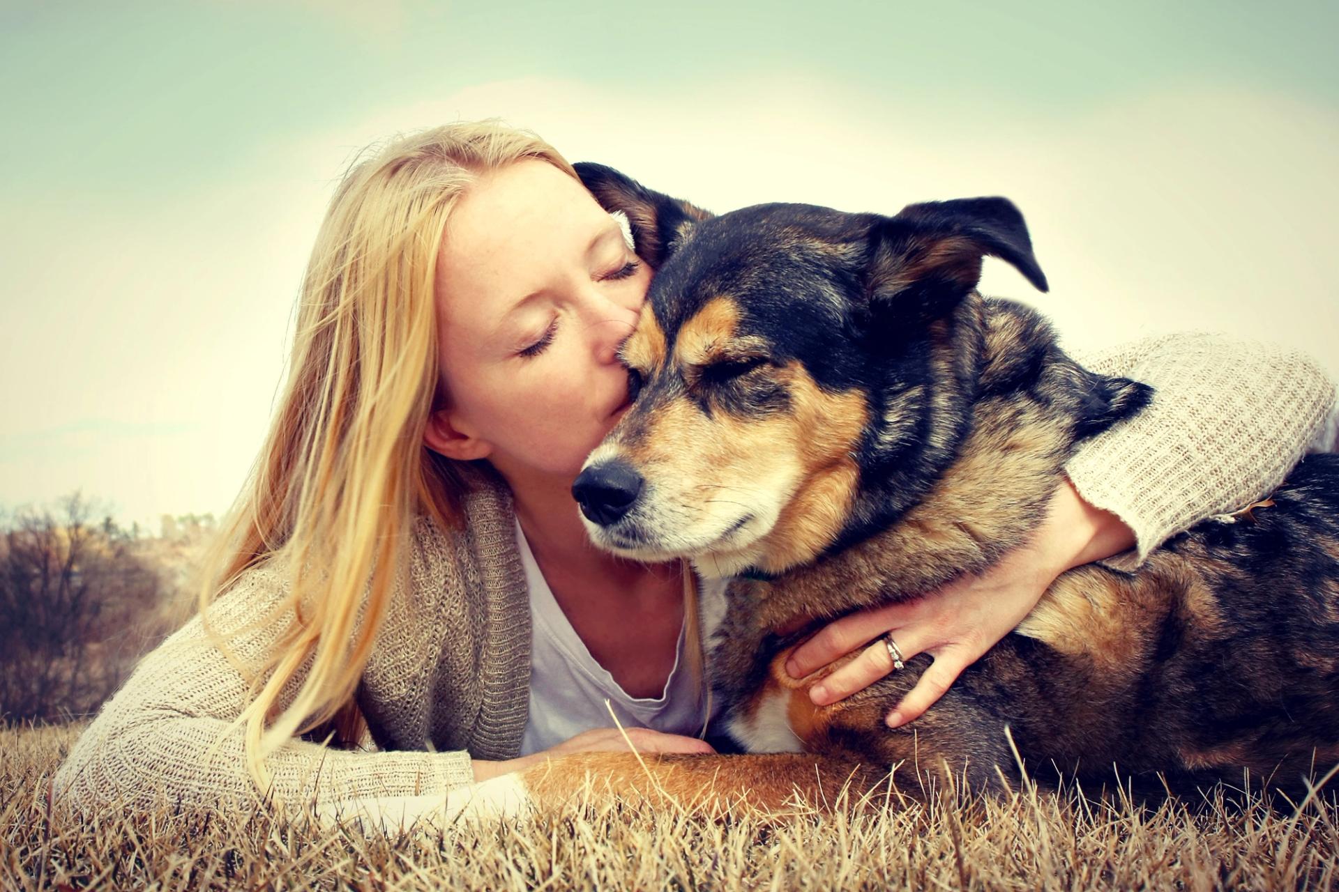 coccole cane adulto