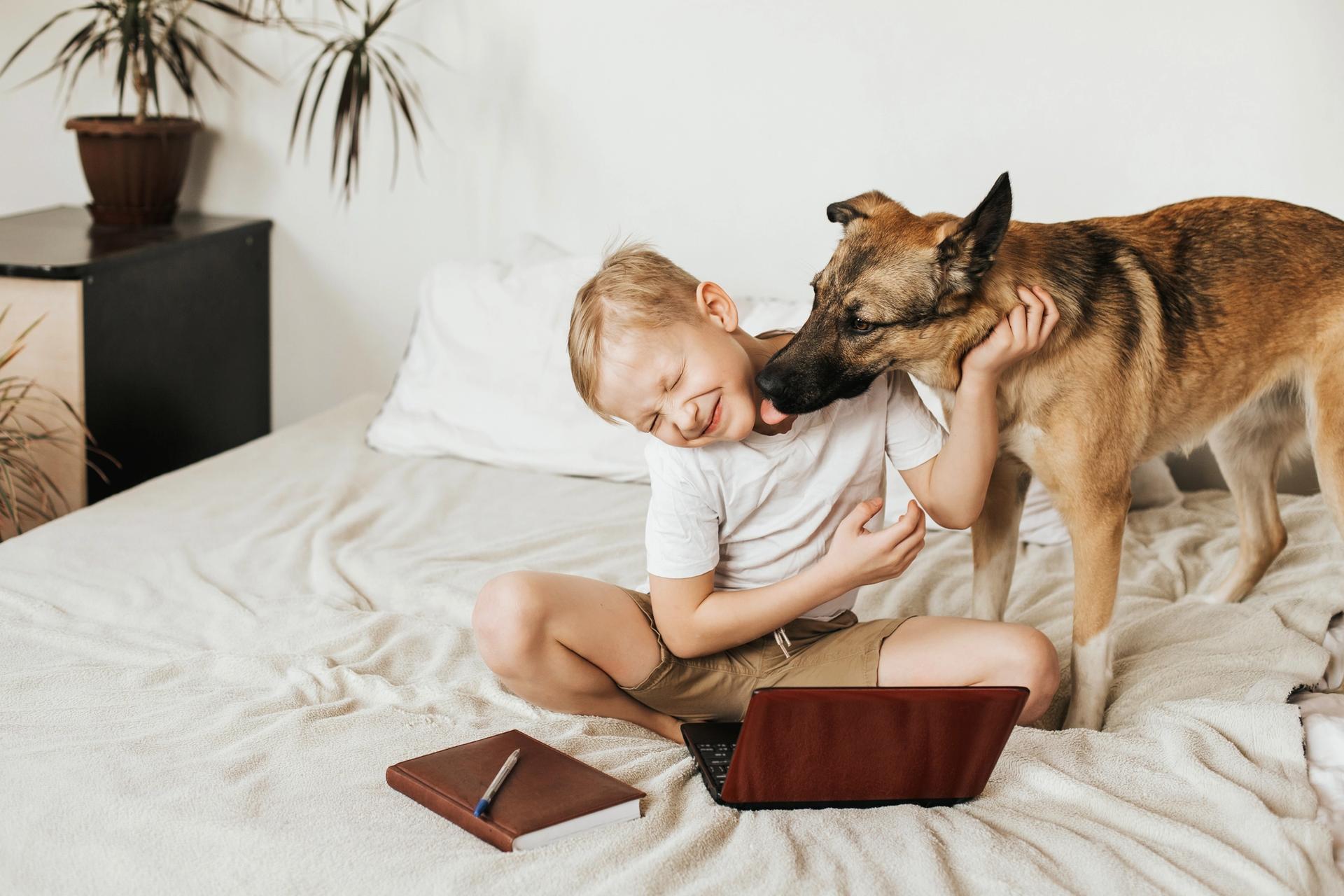 cane e bambino