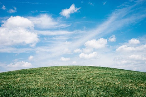 Blue cloudy sky with lush green fields