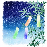 両面キャンバス,アート,七夕の夜空の下に揺れる笹の葉と短冊