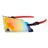 Back to the Future Sunglasses