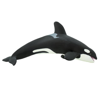 Killer Whale