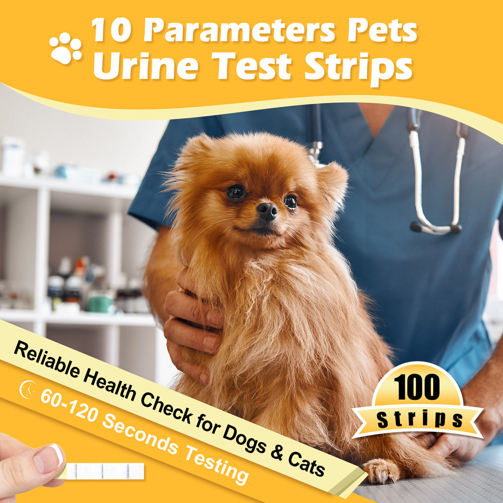 how do they test for uti in dogs